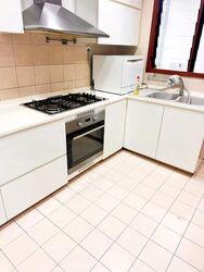 Carissa Park Condominium (D17), Condominium #588828731